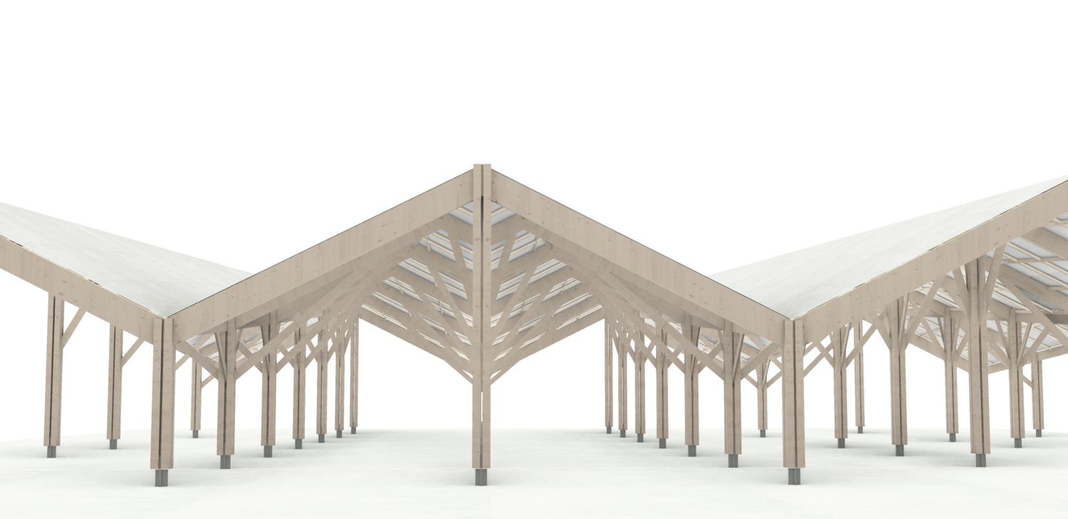 timber construction design